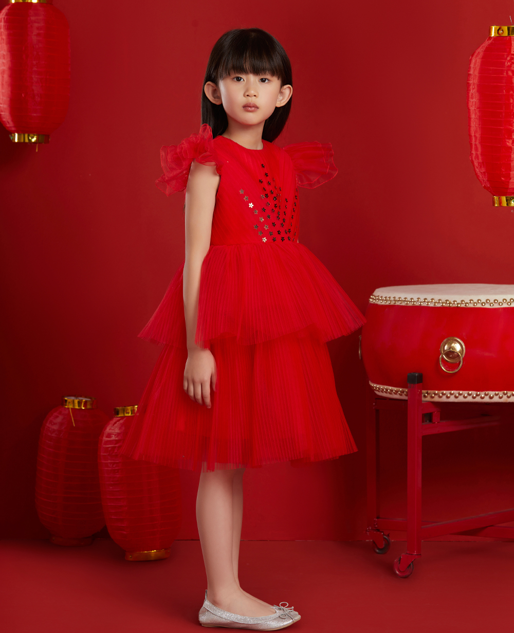 Royal Red Tuelle Dress
