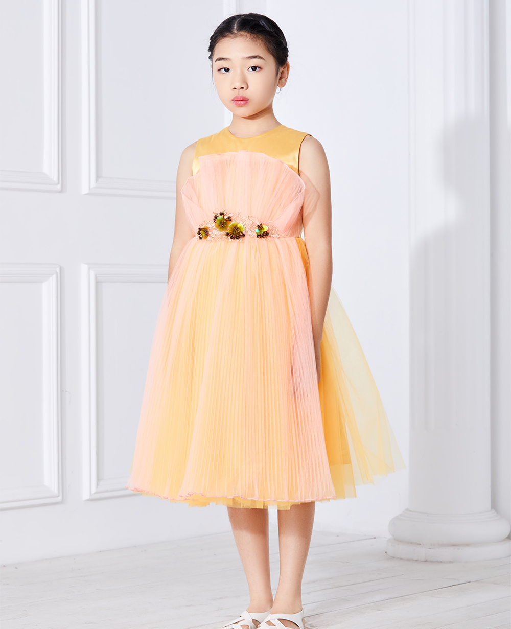 Orange Sleeveless Tulle Dress Embroidered Dress
