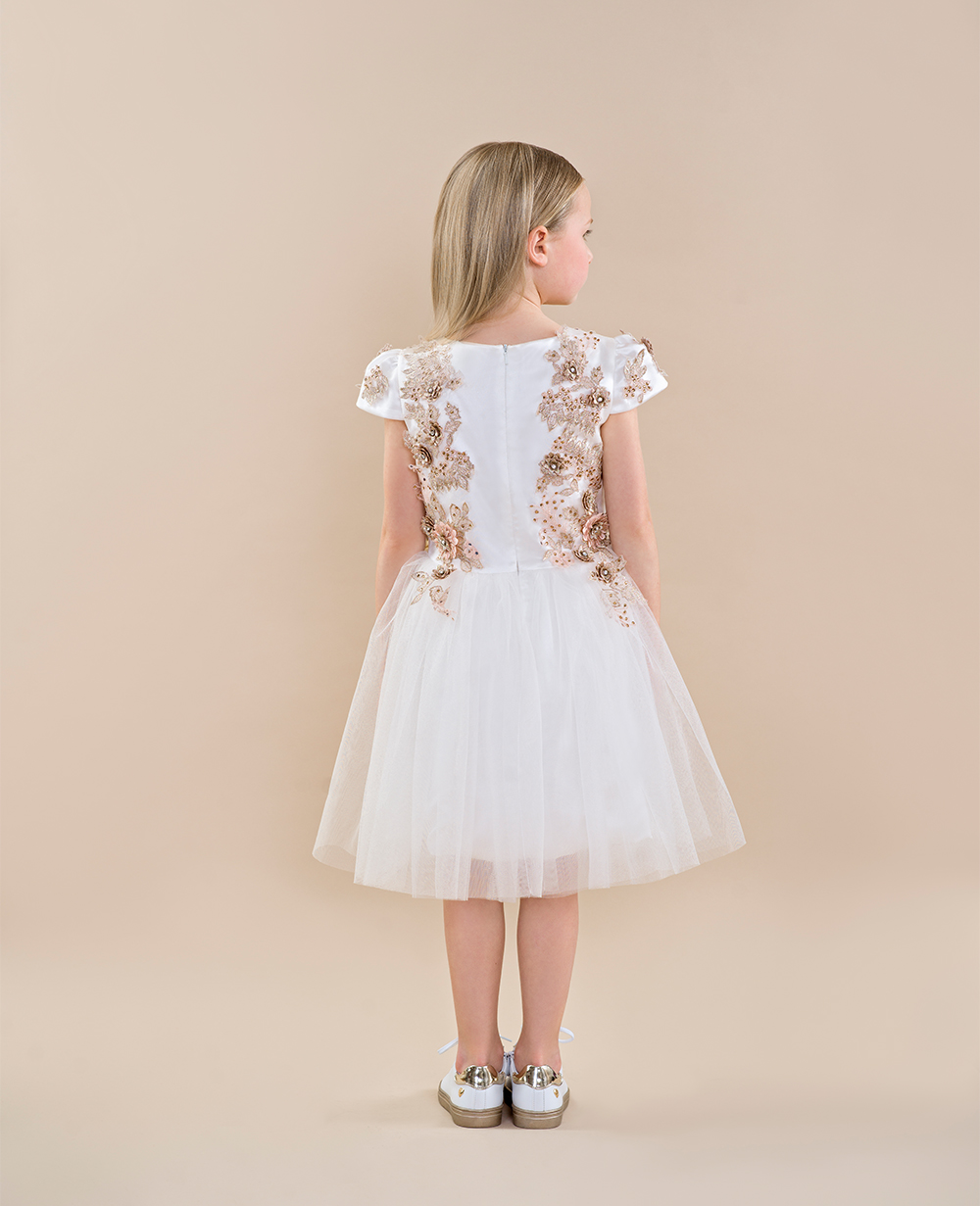 White and Pink Wedding Dress White Lace Dress Short Sleeve Tulle skirt